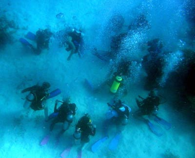 A circle of divers practice their skills